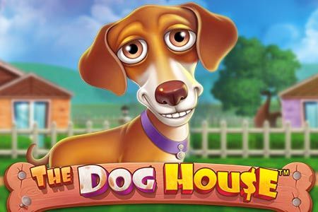 The Dog House