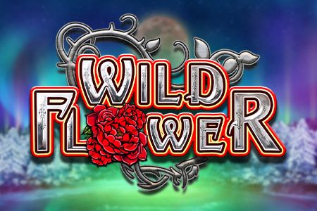 Wild Flower