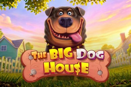 The Big Dog House