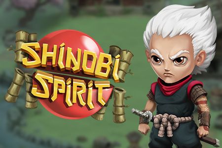 Shinobi Spirit