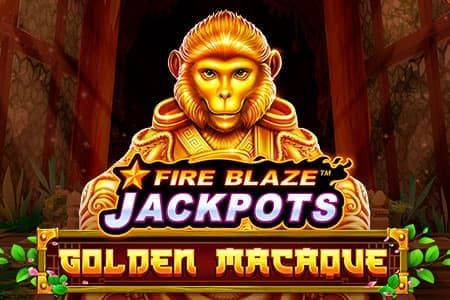 Fire Blaze: Golden Macaque