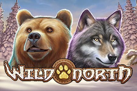 Wild North