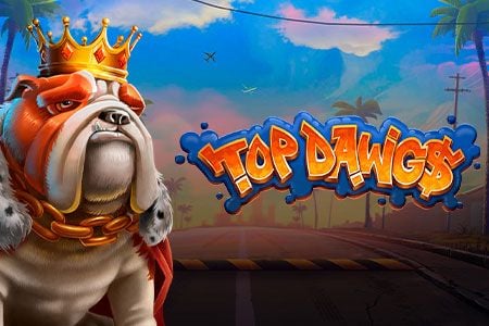 Top Dawgs